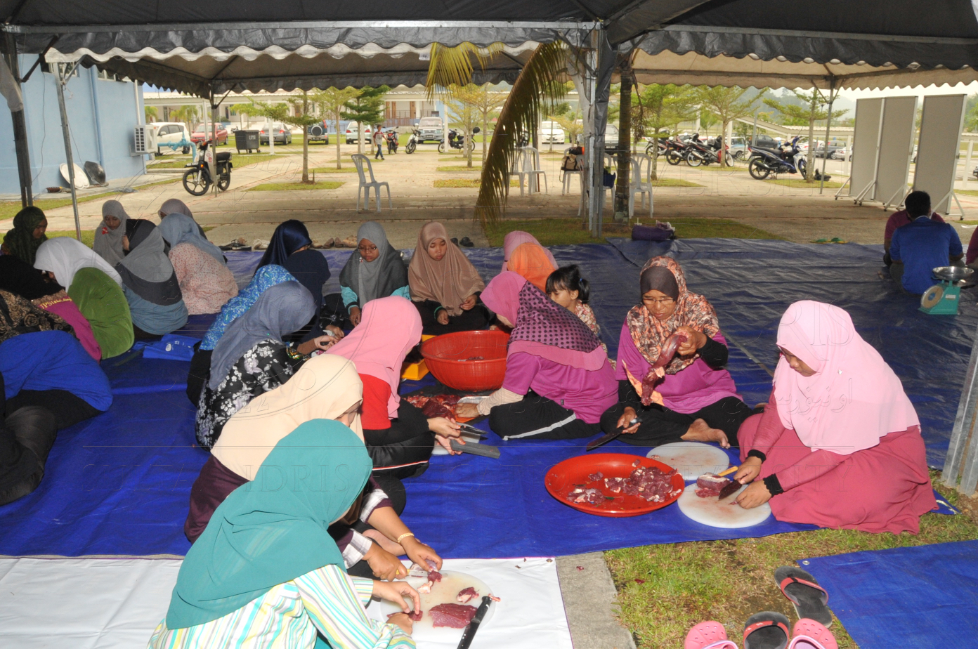 PRO15 150 KORBAN HAS 6943